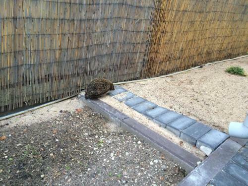 Hotel Parus