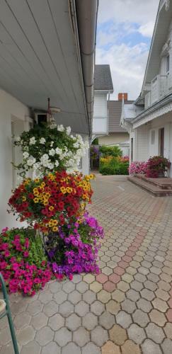 Hostal Naiza Guesthouse And Apartments