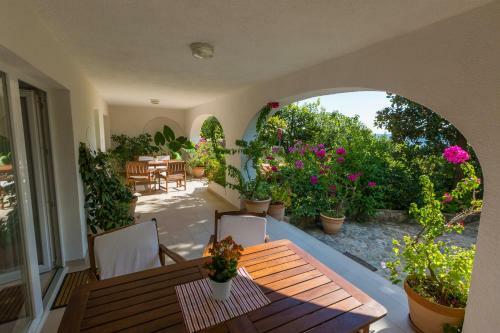 Apartamentos Ivy