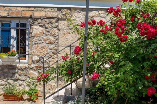 Villa Natura With Pool