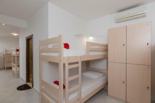 Hostel Free Bird