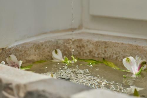 Bed & Breakfast Bota Palace