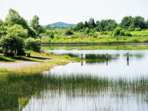 Comfortable Cottage Near Lake In Lovinac