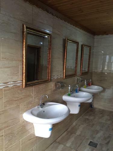 Obeid's Bedouin Life Camp