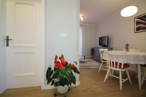 Apartments Tancel