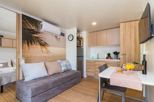 Ivaci Luxury Mobile Homes