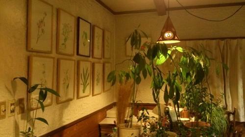 Bed & Breakfast Gallery & Lodge Noichigo