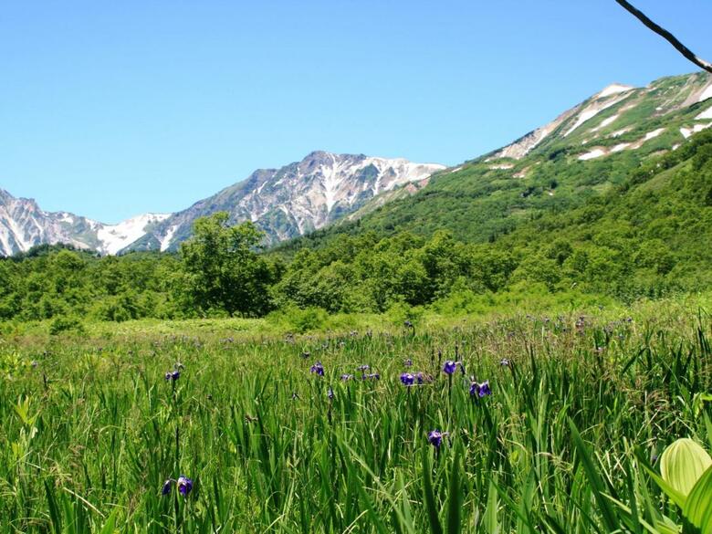 Hakuba High Mount Hotel
