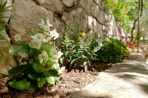 Apartment Milena - Close To Beach