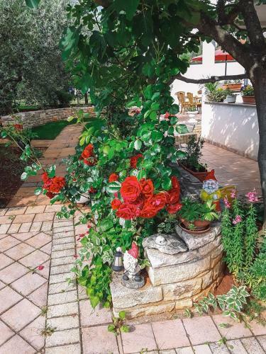 Hostal Apartments Marija