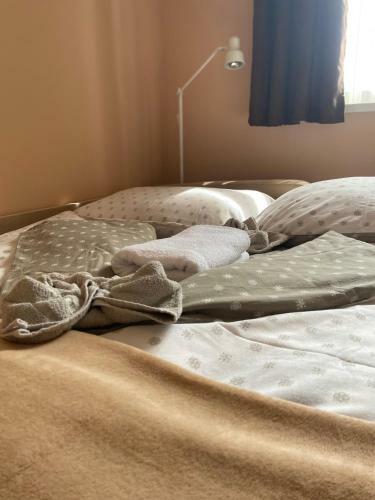 Monzi Apartmanh�z