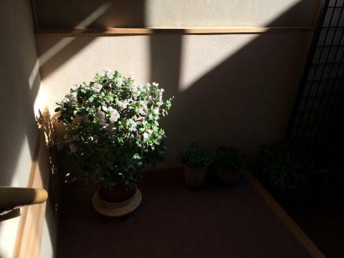 Hotel Yudanaka Onsen Yamazakiya