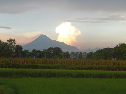 Family Villa Merapi View, Villa Poolside, All Inclusive & Car Driver