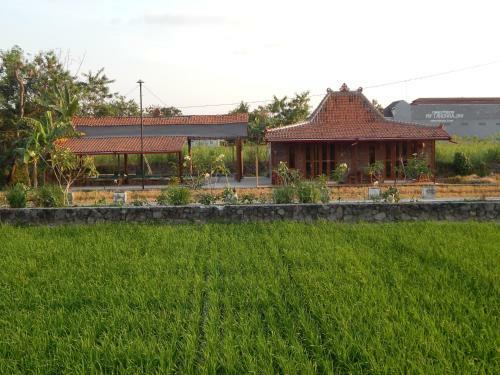 Family Villa Merapi View, Villa Poolside, All Inclusive & Car Driver