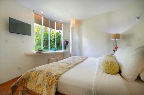 Amazing Villas Complex 8 Br Seminyak W Staff