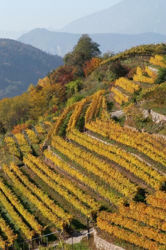 Hotel Maso Franch Gourmet E Relais
