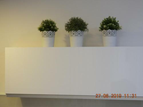 Luxury Apartment - Port Of Jaffa