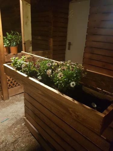 Apartamento Zimmer In The City