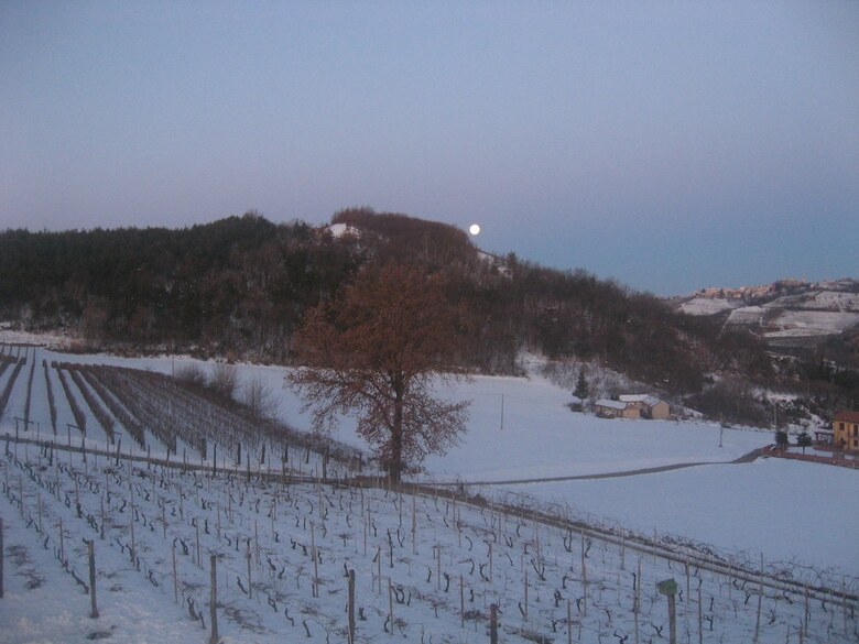 Agroturismo Agriturismo Cascina Serra