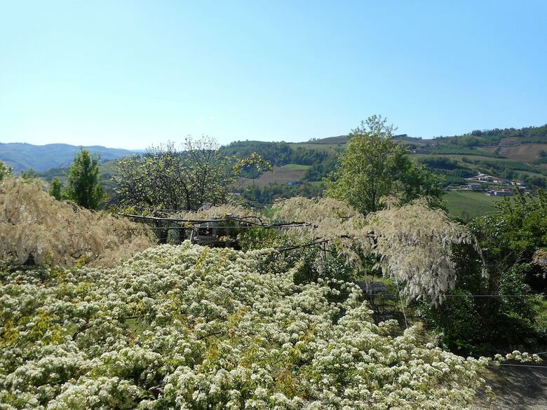 Agroturismo Agriturismo Cascina Serra