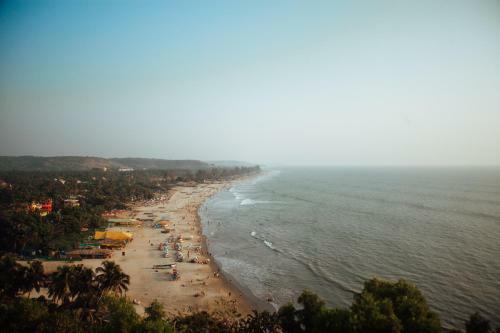 Hostal This Is It - Beach Hostel, Rooms And Huts