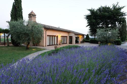 Agroturismo Ripa Relais Colle Del Sole