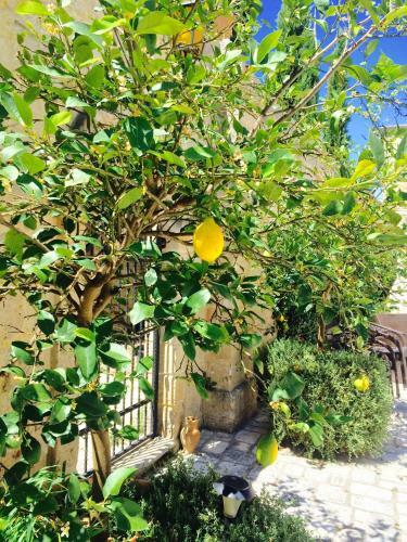 Bed & Breakfast Castello Conti Filo
