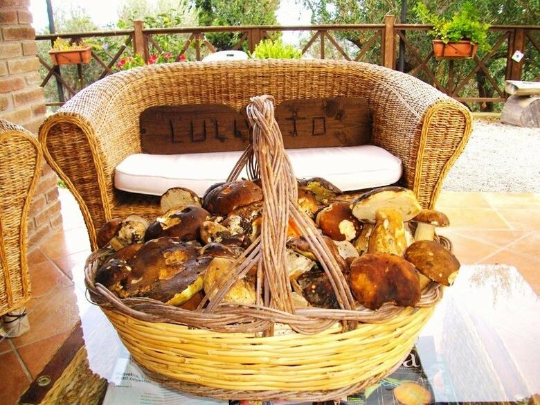 Agroturismo L'uliveto