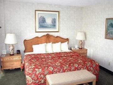 Hotel Holiday Inn Rosslyn At Key Bridge