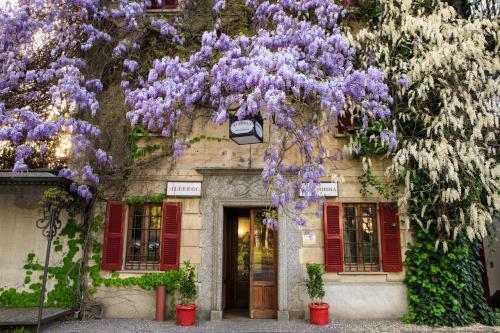 Hotel Albergo Ristorante Madonnina