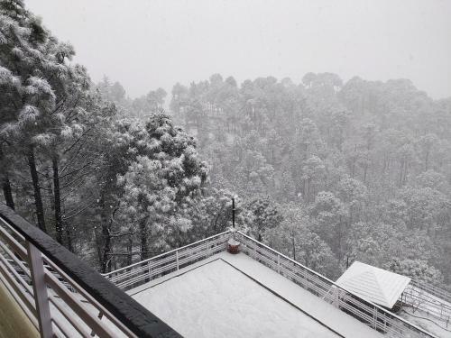 Hotel Kanishka Retreat Resort Chail