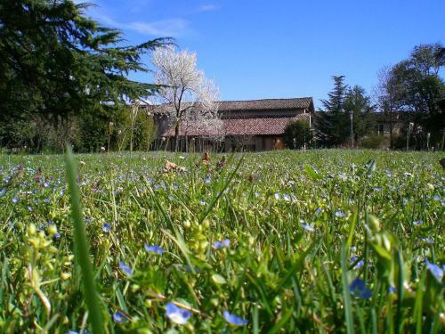 Agroturismo Casa Antica Mosaici