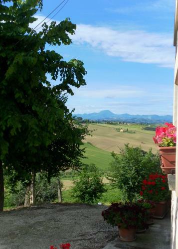 Agroturismo All'ombra Degli Ulivi B&B