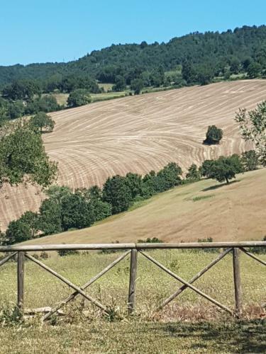 Agroturismo Agriturismo D' Epoca La Marianella