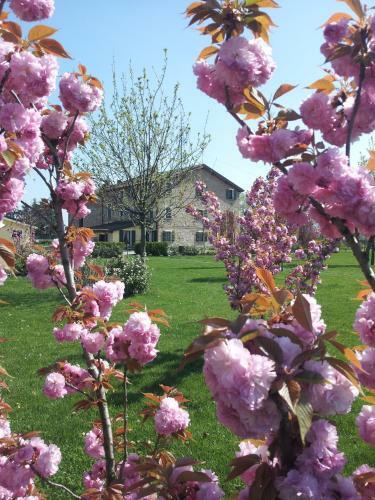Agroturismo Agriturismo Il Brugnolo