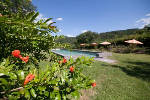 Apartamento Poggio A Sieve