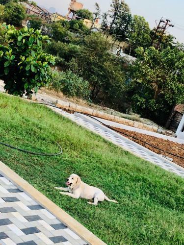 Villa Royal Meadows - Igatpuri Bungalow A