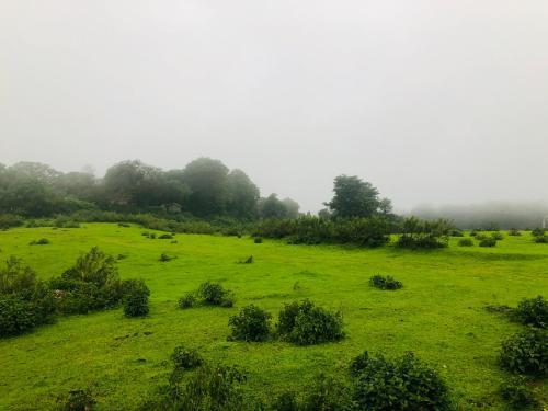 Villa Royal Meadows - Igatpuri Bungalow C