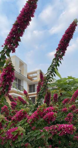 Villa Royal Meadows - Igatpuri Bungalow C