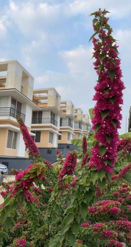 Villa Royal Meadows - Igatpuri Bungalow C