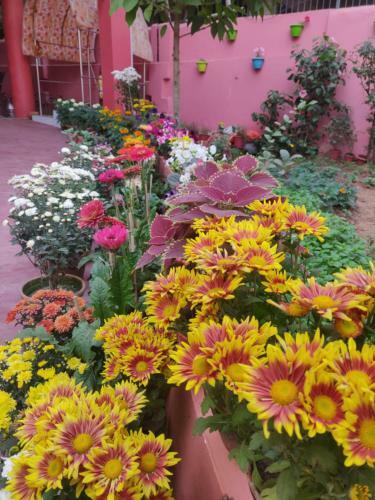 Hotel Ratna Resort
