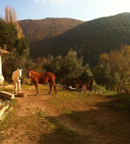 Agroturismo Agriturismo Villa Gabbiano