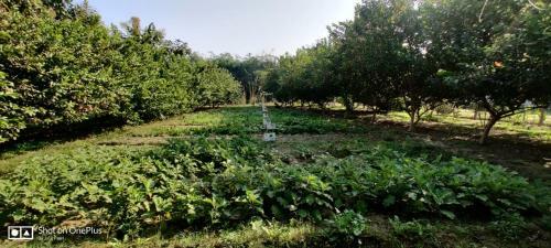 Hotel Sultan Bagh Ranthambhore- An Ethnic Camp Resort