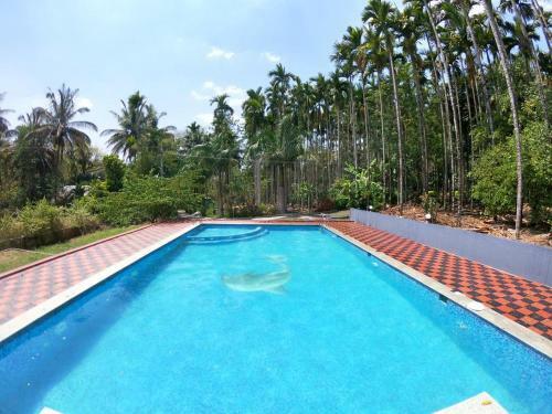 Hotel Coorg Anekad Jungle Stay Resort