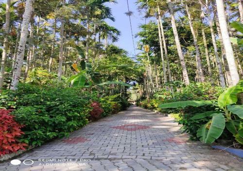 Hotel Coorg Anekad Jungle Stay Resort