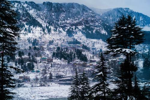 Albergue Alt Life - Manali