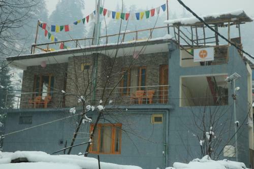 Albergue Backpackers Headquarter Manali