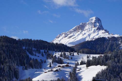 Hotel Pensione La Palsa