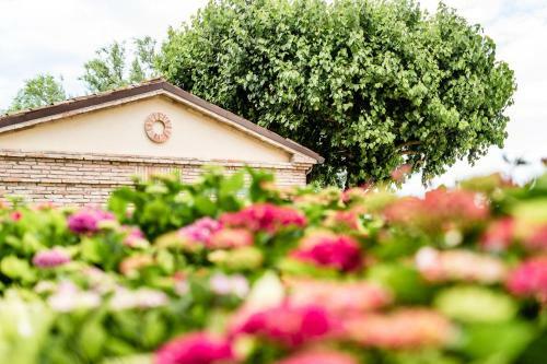 Apartamento Poggio Antico