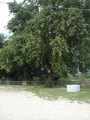 Agroturismo Agriturismo Al Varco D'oro